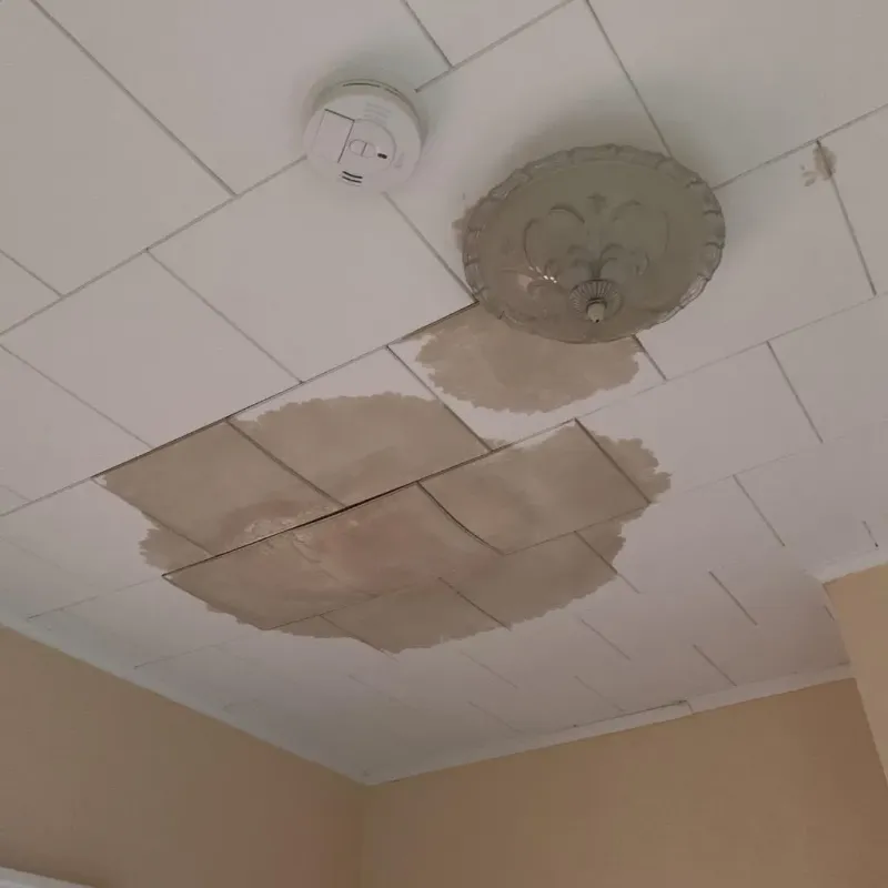 Ceiling Water Damage Repair in Honeoye Falls, NY
