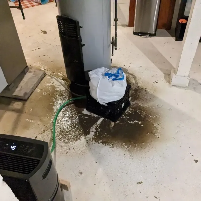 Sewage Backup Cleanup Service in Honeoye Falls, NY